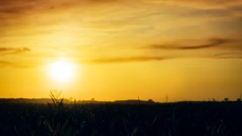 Sun of a decline Stock Photos