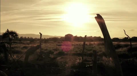 Sun in the desert Stock Footage 8972503