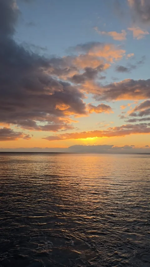 As the sun dips below the Atlantic, Câmara de Lobos reveals its charm. Stock Footage 310024852
