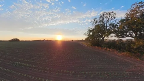 Sun dips low, casting warm glow over earthy field 스톡 동영상 342562039