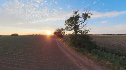 Sun dips low over rural path lined with trees 스톡 동영상 342558808