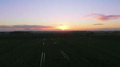 Sun dips low, painting fields in soft amber hues. Sky blushes purple, blending Stock Footage 343695918