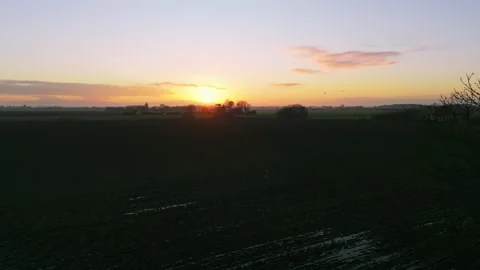 Sun dips low, painting sky in soft purple and gold. Fields stretch wide Stock Footage 343695844