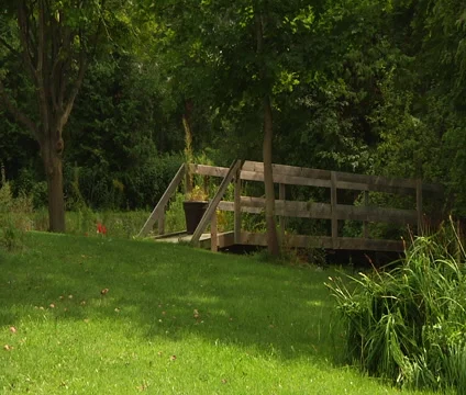 Sun is dissapearing Stock Footage 55301384