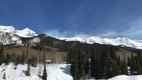 Sun Distant Snow Pine Tree Video stock 156940614