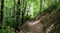 sun dotted hiking trail mountains slop Vídeos en HD