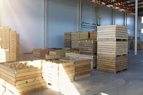 Sun drenched apple warehouse Foto stock