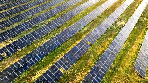 Sun-drenched solar panels in a green field, aerial view. Stock Photos