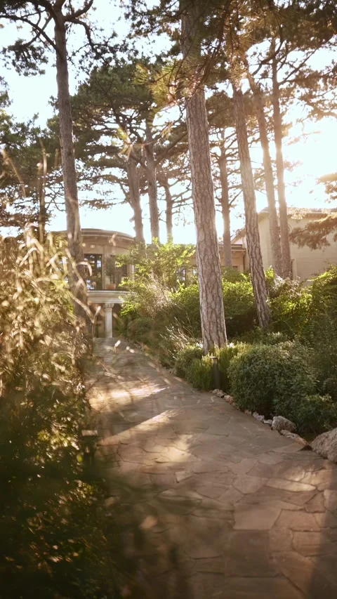 A sun-drenched stone path leads to a house partially hidden behind a row of tall Stock Footage 314392849