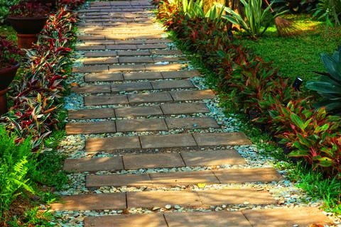 A sun-drenched stone path winds through vibrant tropical plants, creating a s Stock Photos
