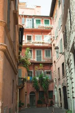 Sun-drenched street with a vibrant array of plants and a old apartment buildings Fotos de archivo