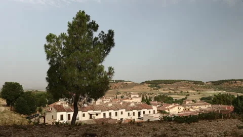 Sun Drenched Tree Overlooking the the Town on Chinchon, Madrid, Spain. Stock Footage 249126723