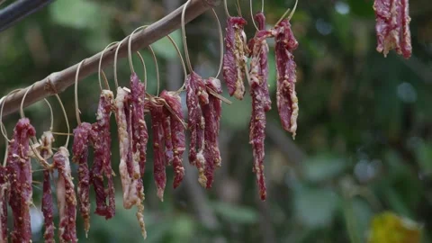 Sun Dried Beef Strips Hanging on Bamboo Rod Stock-Footage 327435318