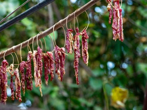 Sun-Dried Beef Strips Hanging on Bamboo Rod Traditional Thai Food Preservatio Stock Photos