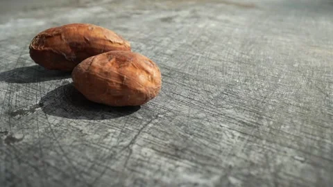 Sun Dried Cocoa Beans fall down in slow motion Stock Footage 250017284