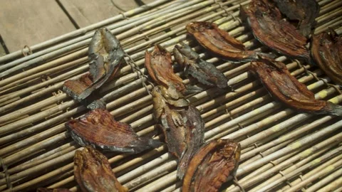 Sun-dried fish Stock Footage 206398180