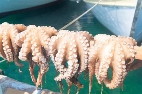Sun dried fish Stock Photos