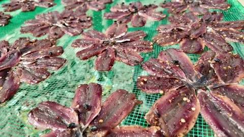 Sun Dried Fish Slices Stock Footage 263516039