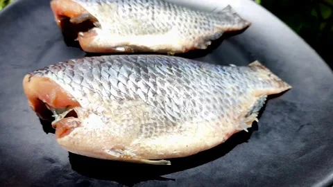 Sun-dried fish1 Stock Footage 315141404