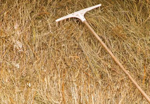 Sun dried grass and rake Stock Photos
