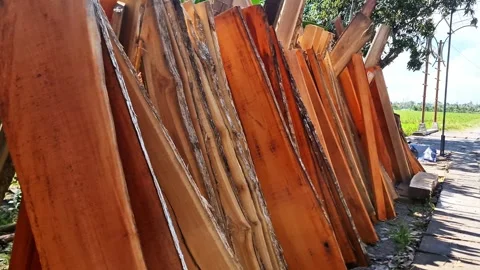 Sun Dried Long Timber Planks in Natural Outdoor Wood Workshop Stock Footage 332646828
