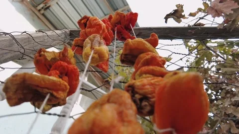 Sun-dried peppers hung on a string 4K Stockbeeldmateriaal 165985602