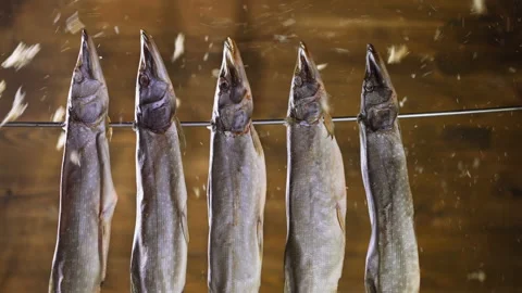 Sun-dried pikes hang on cable and wooden shavings fall down Stock Footage 164354378