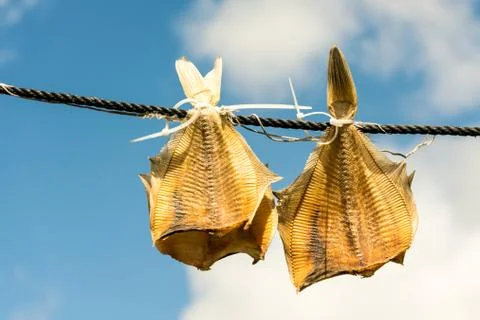 Sun-dried Plaice Stock Photos