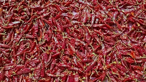Sun-Dried Red Chillies Close-Up – Organic Spice Texture Footage Video stock 323120568