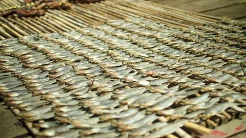 Sun-dried river fish Stock Footage 205872481