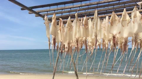 Sun-dried squid Video stock 65142810