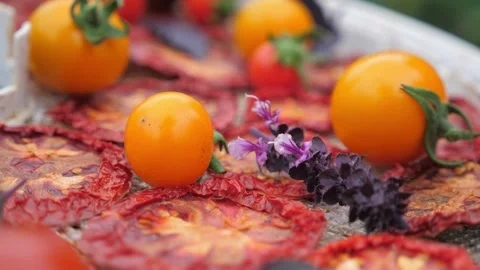 Sun Dried Tomatoes from a dehydrator. Composition with mushrooms and basil. Stock Footage 147013087