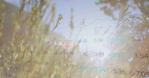 Sun-driving wind sending grass swaying, transparent data charts overlaying, 스톡 동영상 320650729