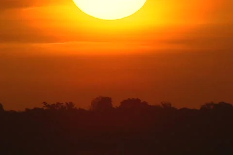 Sun drop Vidéo 1033543