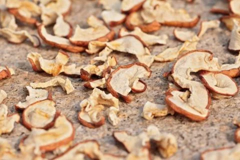 Sun drying sliced apples with selected focus Stock Photos