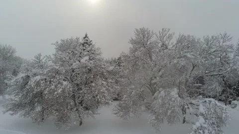 Sun during snowing - Drone camera moves fowards, up, &amp; down Video stock 137937005