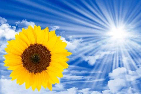 Sun energy Stock Photos