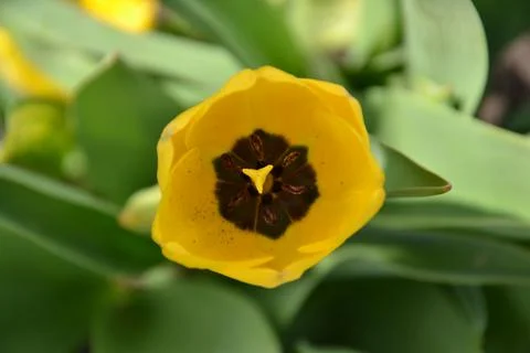 The sun is everywhere Stock Photos