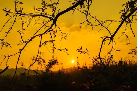 The sun is falling, the branches are smashed through the corners. Stock Photos