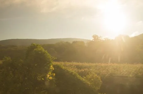 Sun flair Stock Photos