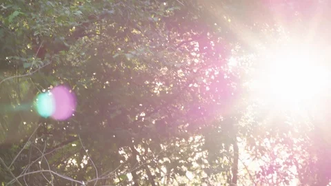 Sun Flare 02 4k Stock Footage 109575232