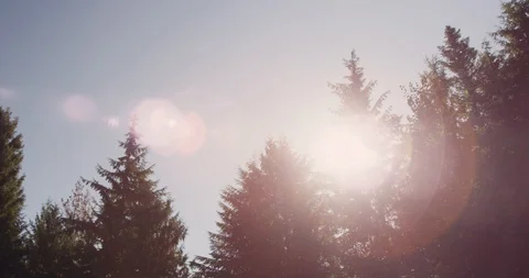 Sun Flare 1 Stock Footage 126415678