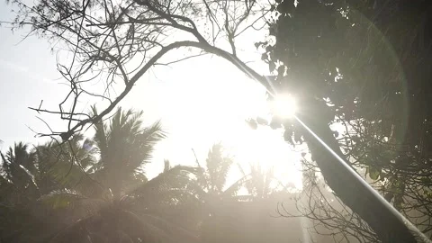 Sun flare 63 Stock Footage 155494994