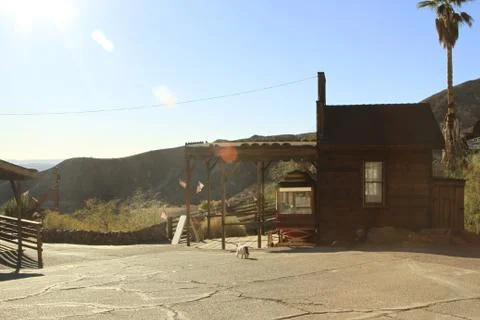 Sun flare beaming down as a cat patrols the Calico, California ghost town Stock Photos