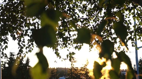 Sun Flare Stock Footage 40237249