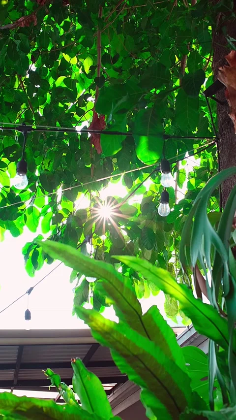 Sun Flare Stock Footage 341181670