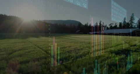 Sun flare intensifying: bar charts fading then shifting over farm field 스톡 동영상 311698922