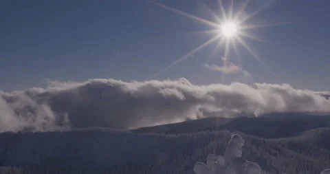 Sun Flare Over Snow Covered Treetops Stock Footage 142914794