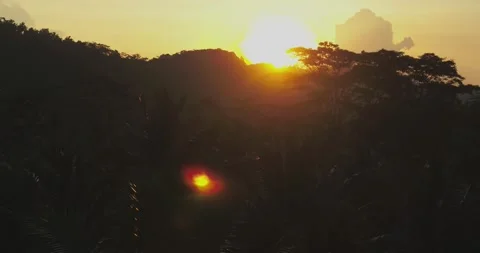 Sun Flare Over Tropical Mountain Jungle During Golden Hour Aerial 스톡 동영상 332270748