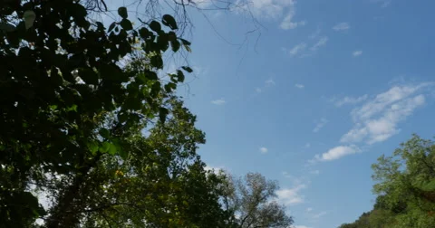 Sun Flare Rays Coming Through the Tree Leaves During Early Fall, 4K Stock Footage 68417909